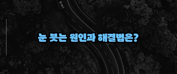 눈이 붓는 증상 원인과 대처법 (+자가진단 팁)