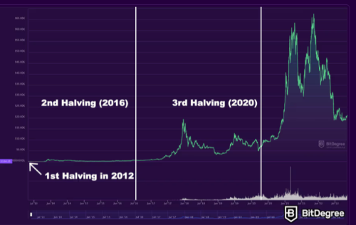 비트코인 반감기