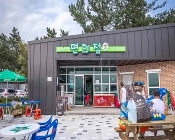 연곡 솔향기 캠핑장_9