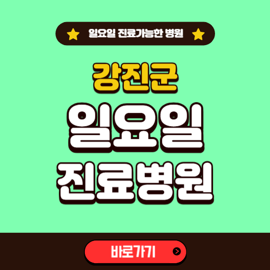 강진군 일요일 진료 가능한 병원 ❘ 주말 문여는 곳 총정리 (소아과, 내과, 안과, 치과, 피부과, 정형외과, 산부인과)