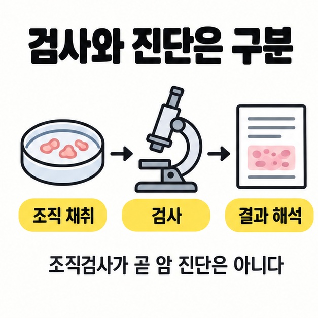 조직 채취에서 검사와 결과 해석으로 이어지며 조직검사가 곧 암 진단은 아님을 설명하는 흐름도