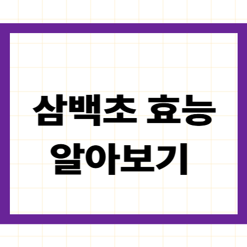 삼백초 효능 알아보기 —
십약(十藥)이라 불리는
해독·항암·이뇨·여성건강 약초 완벽 정리