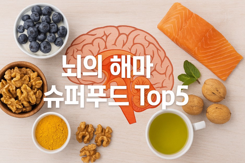 연어, 호두, 블루베리 요거트, 강황 가루, 녹차와 함께 그 중심에 해마가 강조된 뇌 일러스트가 있는 평평한 배경 위에, “뇌의 해마 슈퍼푸드 Top5”라는 굵고 선명한 한글 문구가 중앙에 크게 배치되어 있다. 각각의 슈퍼푸드는 나무 질감의 배경 위에 깔끔하게 정렬되어 있으며, 따뜻한 자연색조가 조화롭게 어우러진다. 전반적인 이미지는 뇌 건강과 영양소의 시각적 상징성을 부각시키며 집중력과 기억력 향상의 메시지를 시각적으로 전달한다.