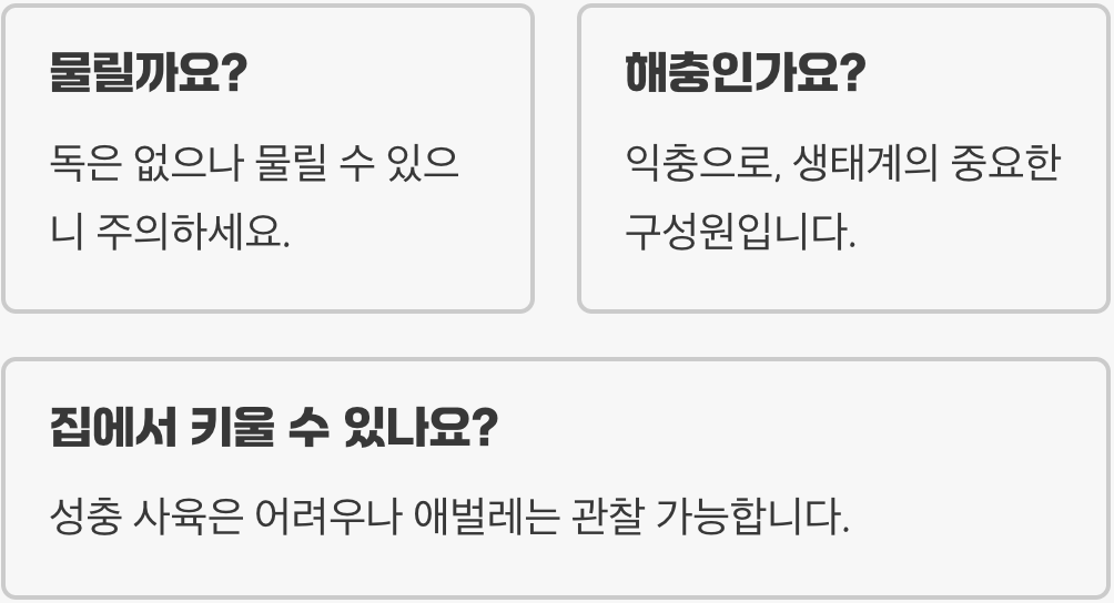 길앞잡이 곤충의 생태와 특징 총정리, 우리 주변에서 쉽게 볼 수 있는 포식자