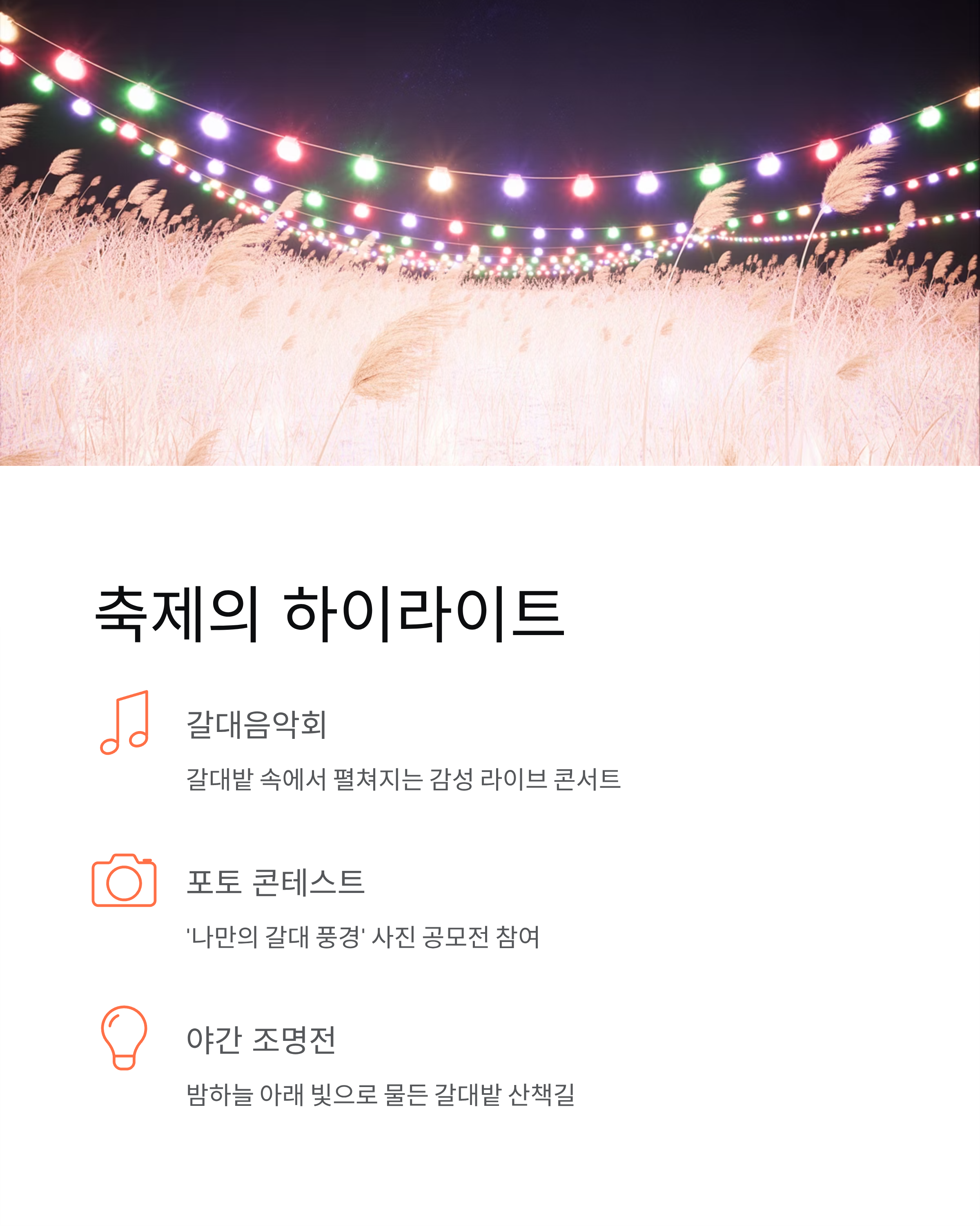 강진만춤추는갈대축제 ❘ 2025 일정·프로그램·가을여행 꿀팁 총정리