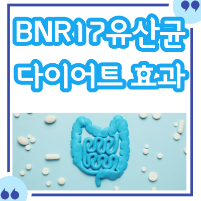 bnr17유산균 효능과 섭취 시 주의사항 정리