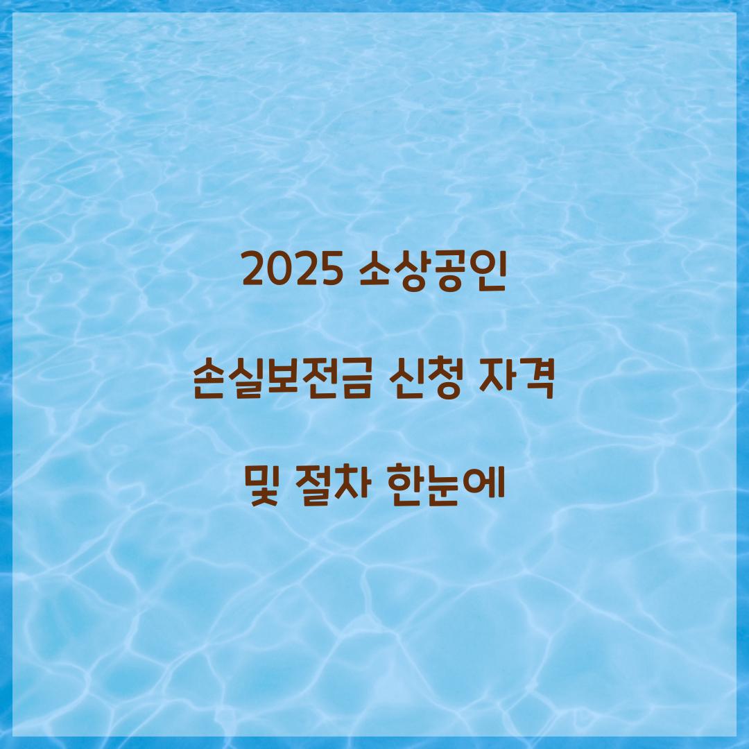 2025 소상공인 손실보전금