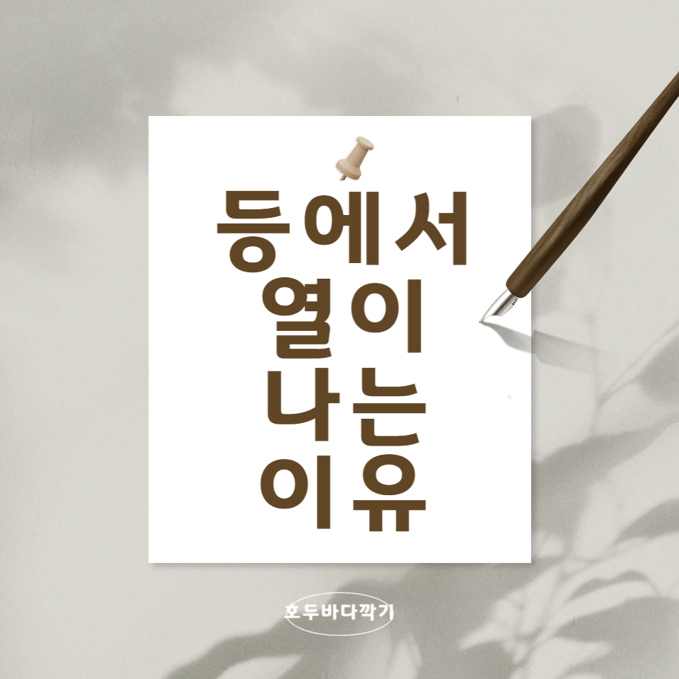 등에서-열이-나는-이유-총정리