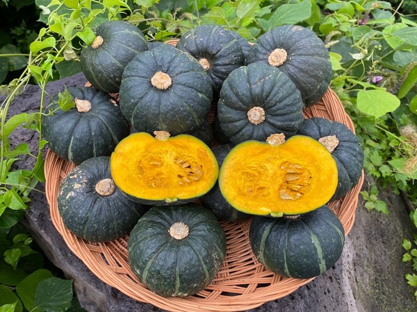 단호박 효능 및 칼로리