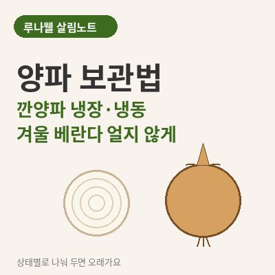 양파 보관법 깐양파 냉장 냉동 겨울 베란다 썸네일