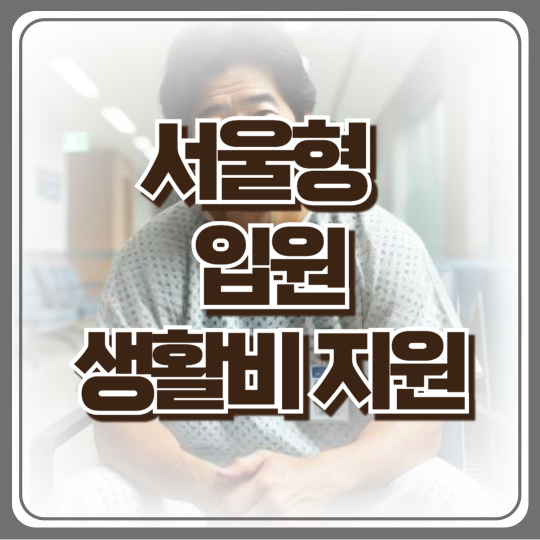 아프면 돈이 나온다?! 서울형 입원 생활비 지원 신청 꿀팁 (최대 14일 지원)