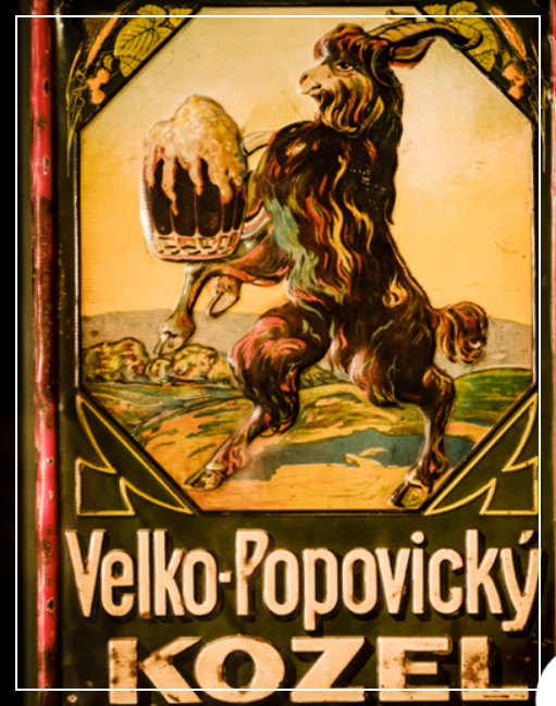 코젤 염소 올다