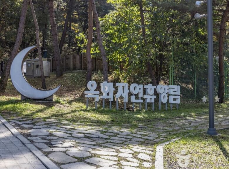 청주 가볼만한곳 베스트 10