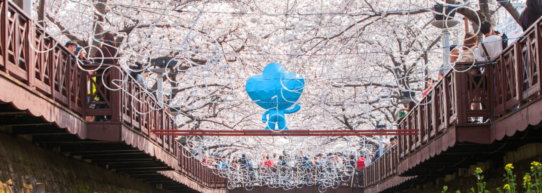 제64회 진해군항제 일정 주차 및 셔틀안내, 벚꽃 명소 안내