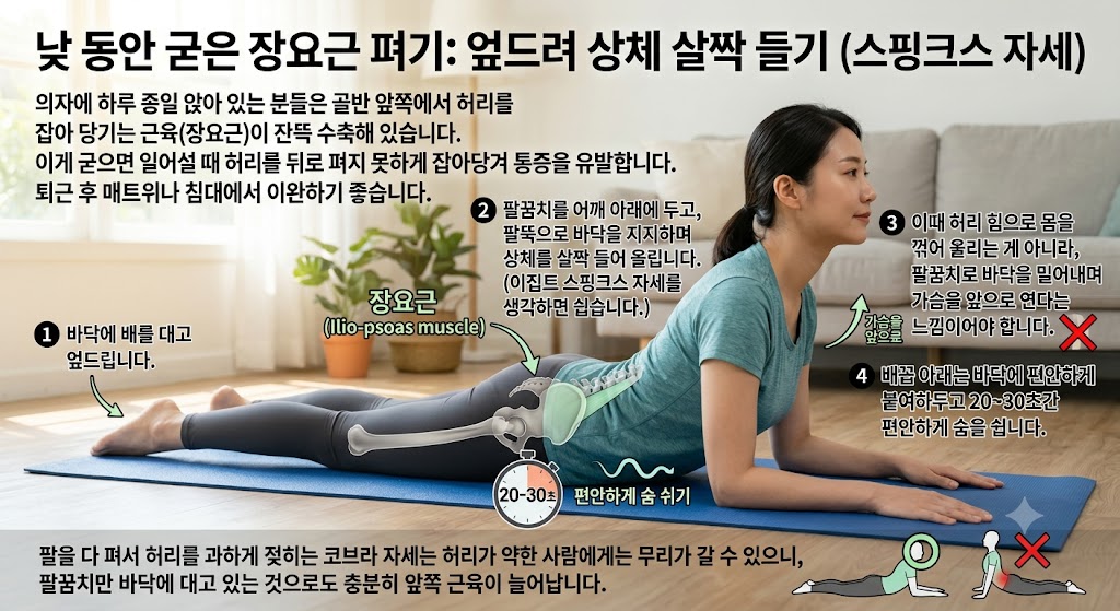 허리 운동, 엎드려 상체 들기
