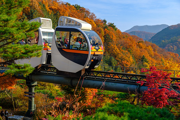 🌿 용인&middot;광주 여행코스 함께 돌기｜화담숲 + 주변 핫플