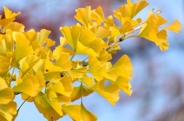 황학산 수목원 이용정보