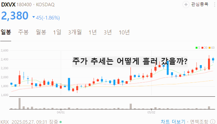 위고비 관련주 대장주 테마주 TOP5 : 비만치료제