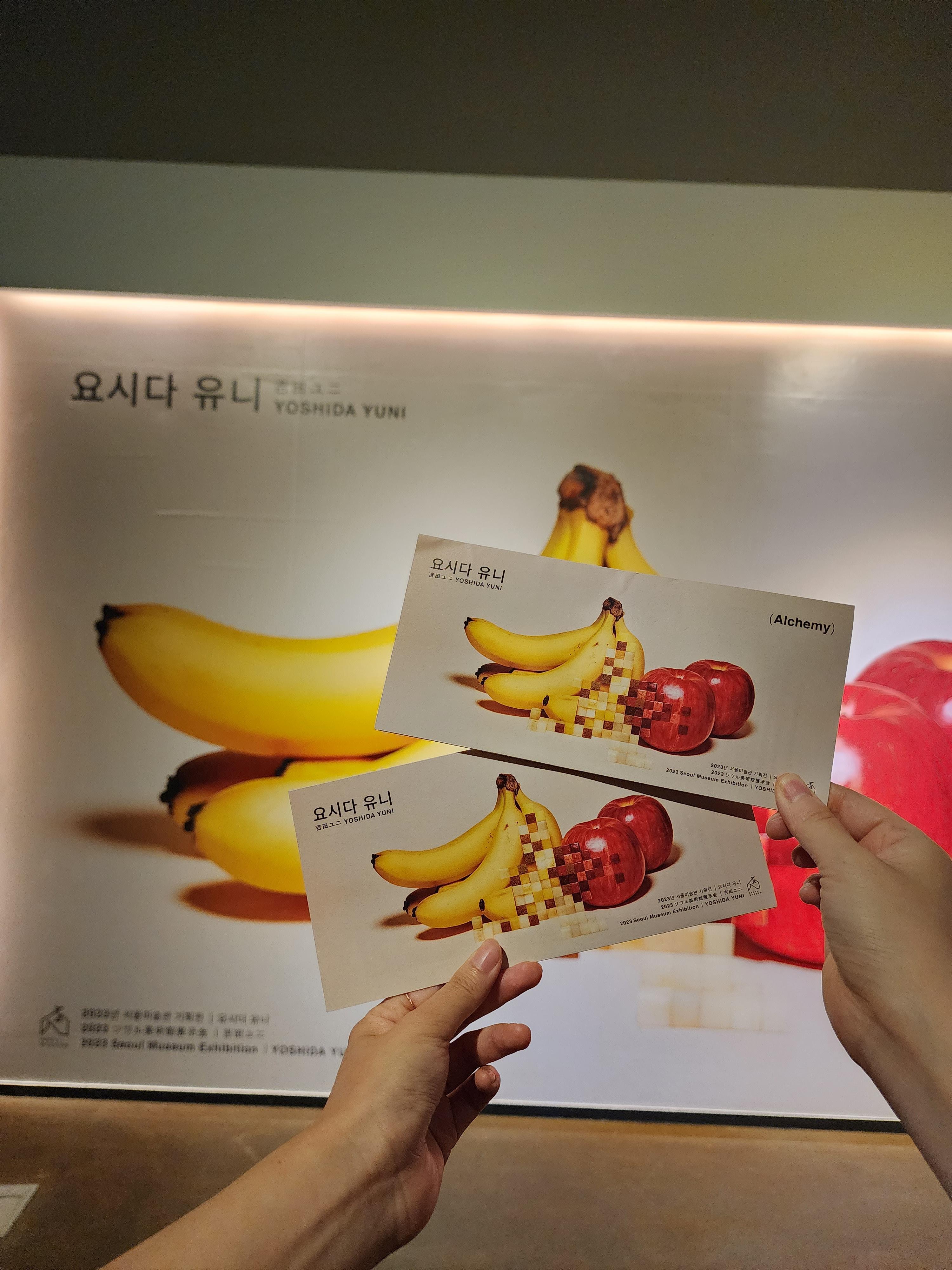 요시다유니 작품 일부