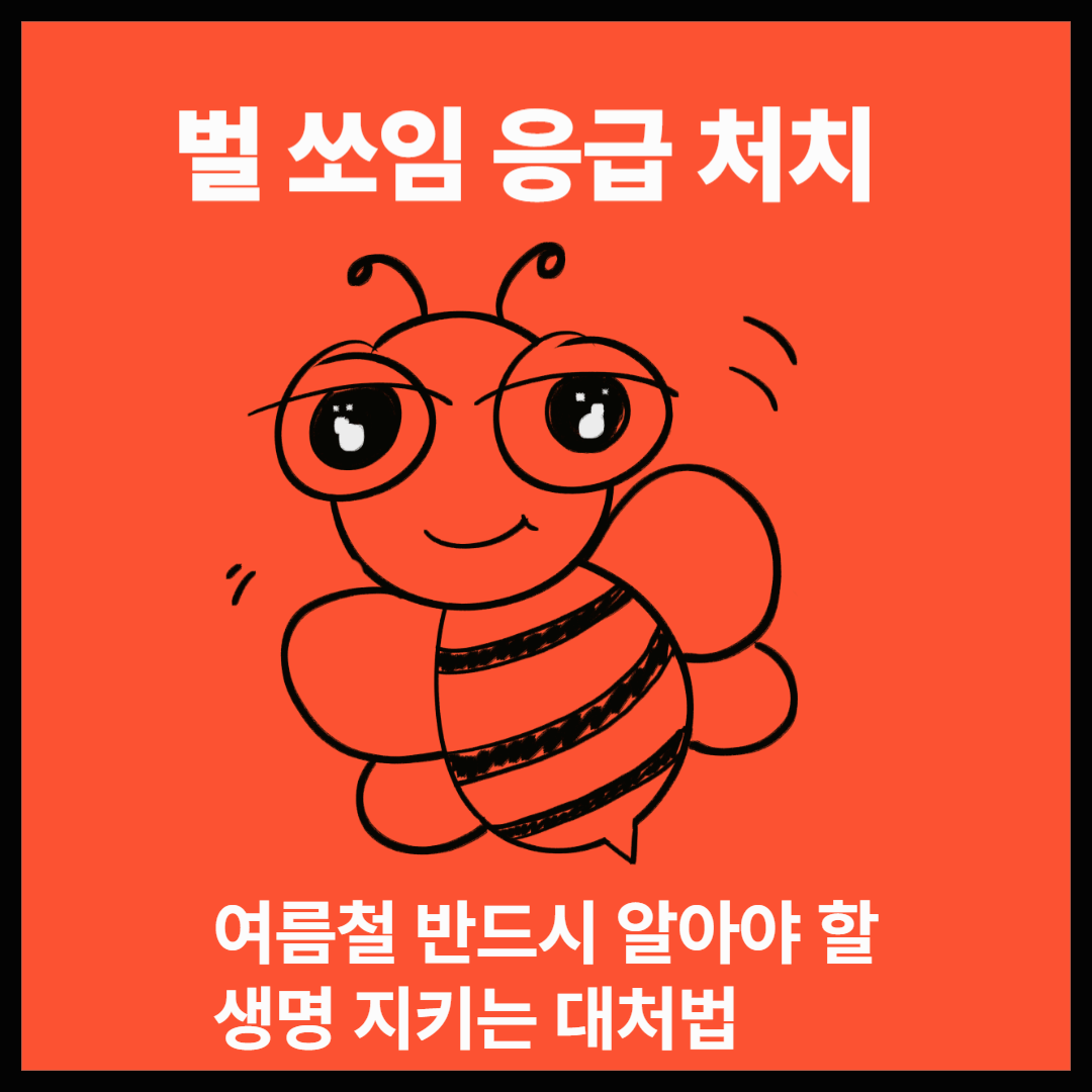 벌쏘임 응급처치- 여름철 반드시 알아야 할 생명 지키는 대처법