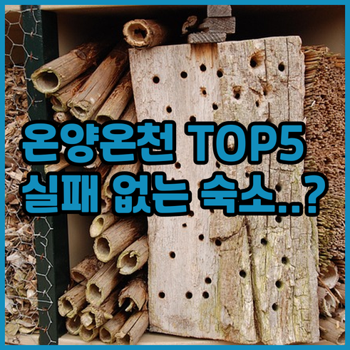 아산 온양온천역 호텔 베스트 5 시설..