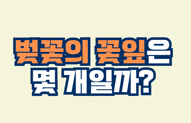 벚꽃_꽃잎