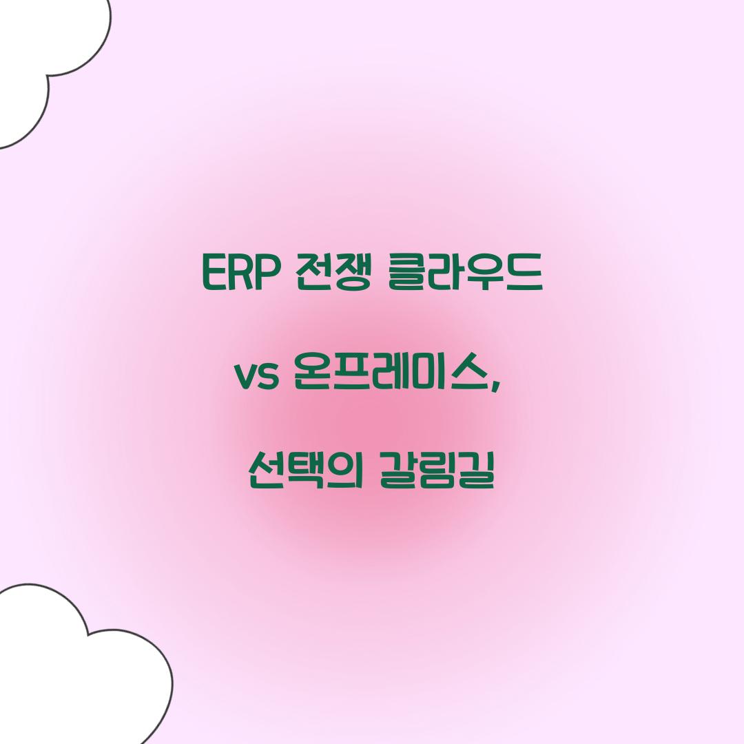 ERP 전쟁