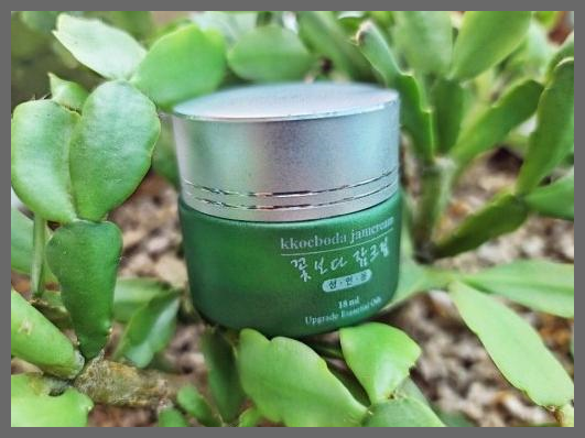 코에픽 부작용 효과