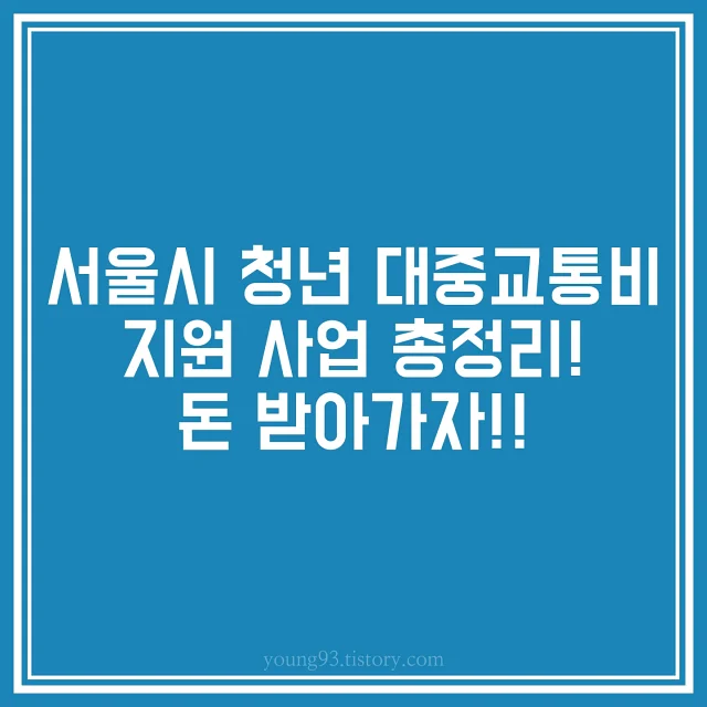서울시 청년 대중교통비 지원사업