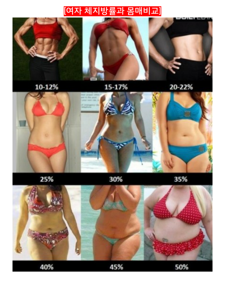 여자 체지방률에 따른 몸매