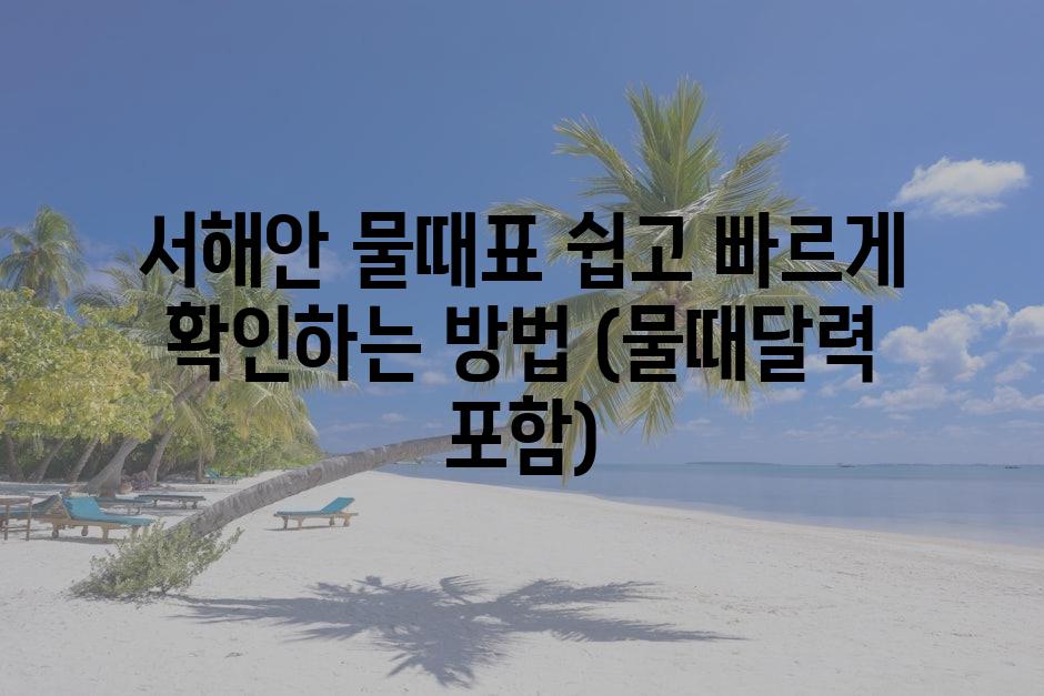 샘플 (79)
