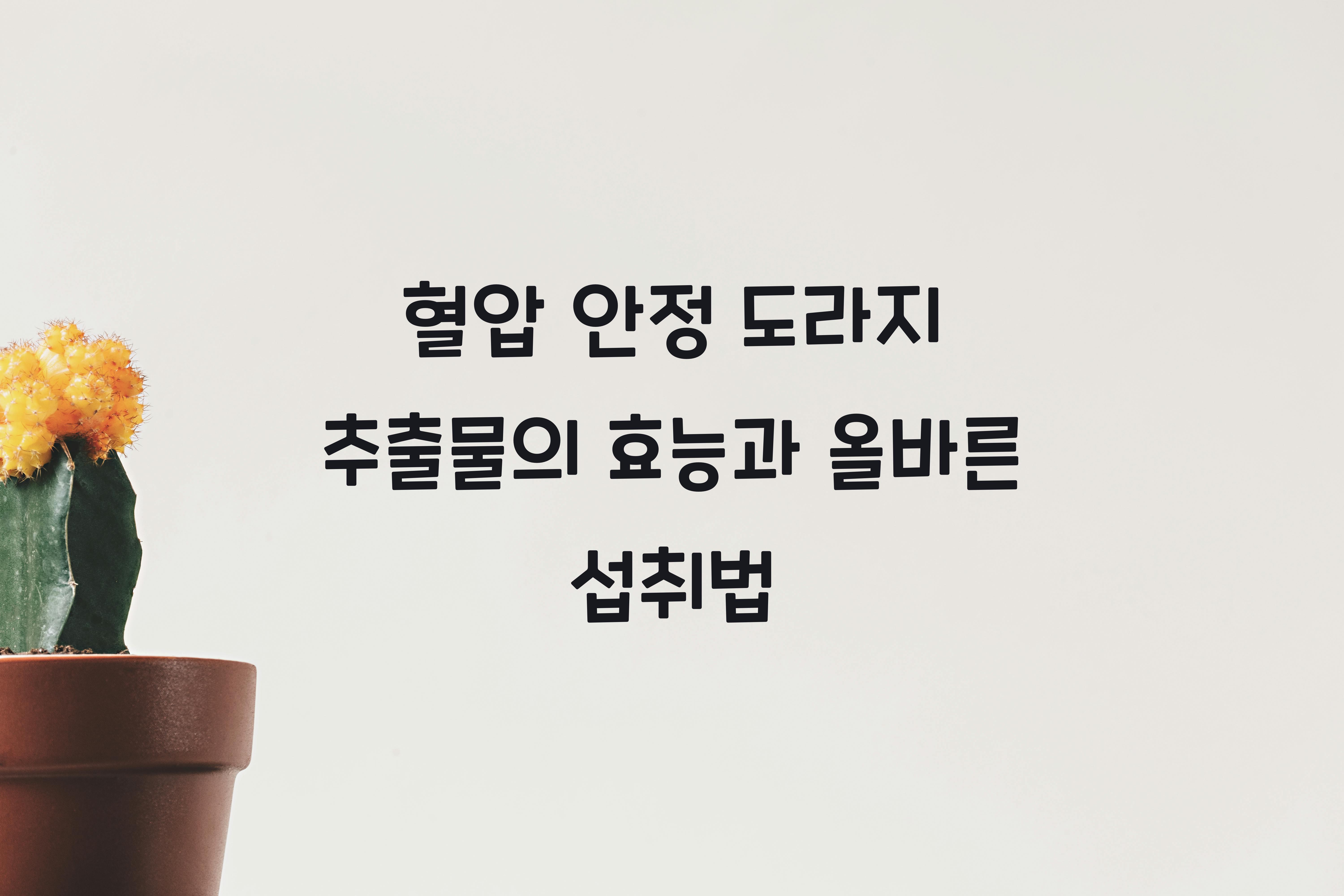 혈압 안정 도라지 추출물