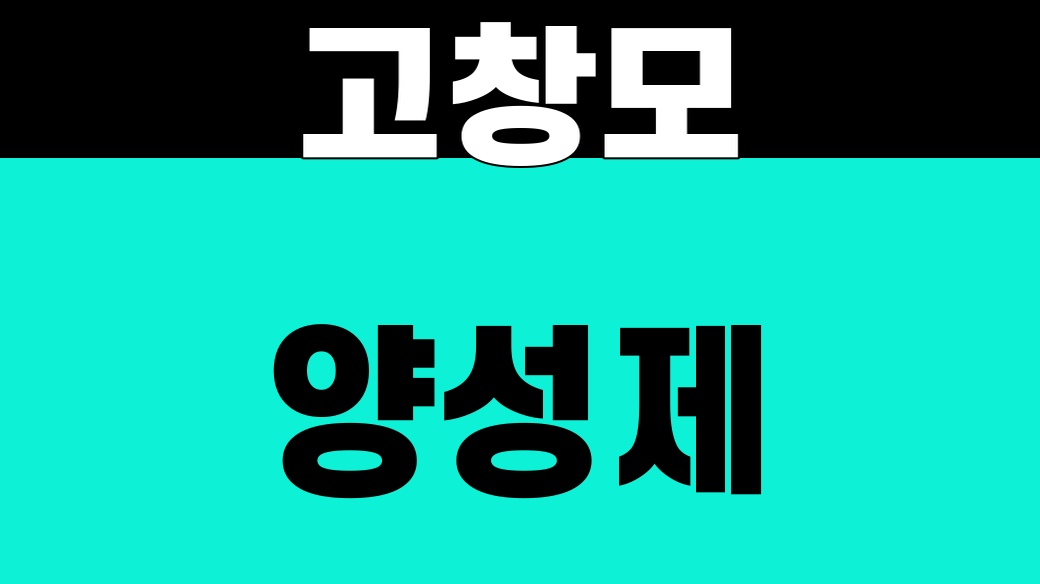 고창모양성제 대표 썸네일