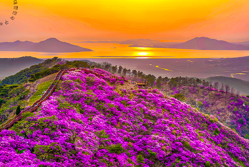 디지털 관광주민증 발급 방법 (+사용법 할인혜택)