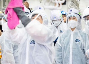 빈대 셀프 방역 방법의 장점&amp;#44; 단점&amp;#44; 주의 사항