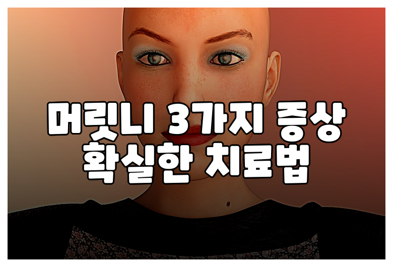 머릿니 3가지 증상 확실한 치료법