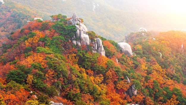 북한산 단풍