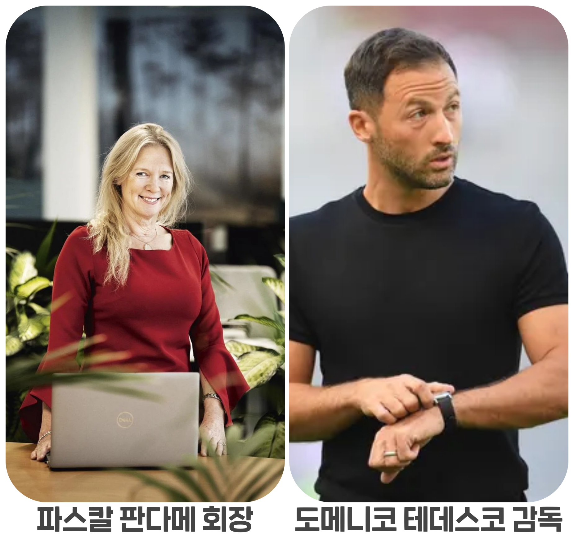 벨기에_감독