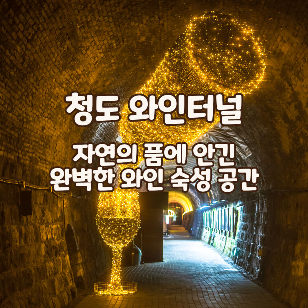 청도-와인터널