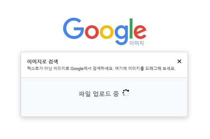 업로드된 이미지를 이용해 구글 이미지 검색 시작