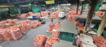 가락시장 맛집 회센터 수산시장 꽃게_13