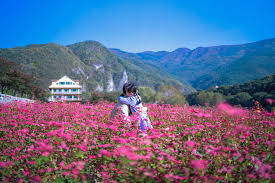 10월 가볼만한곳 베스트 