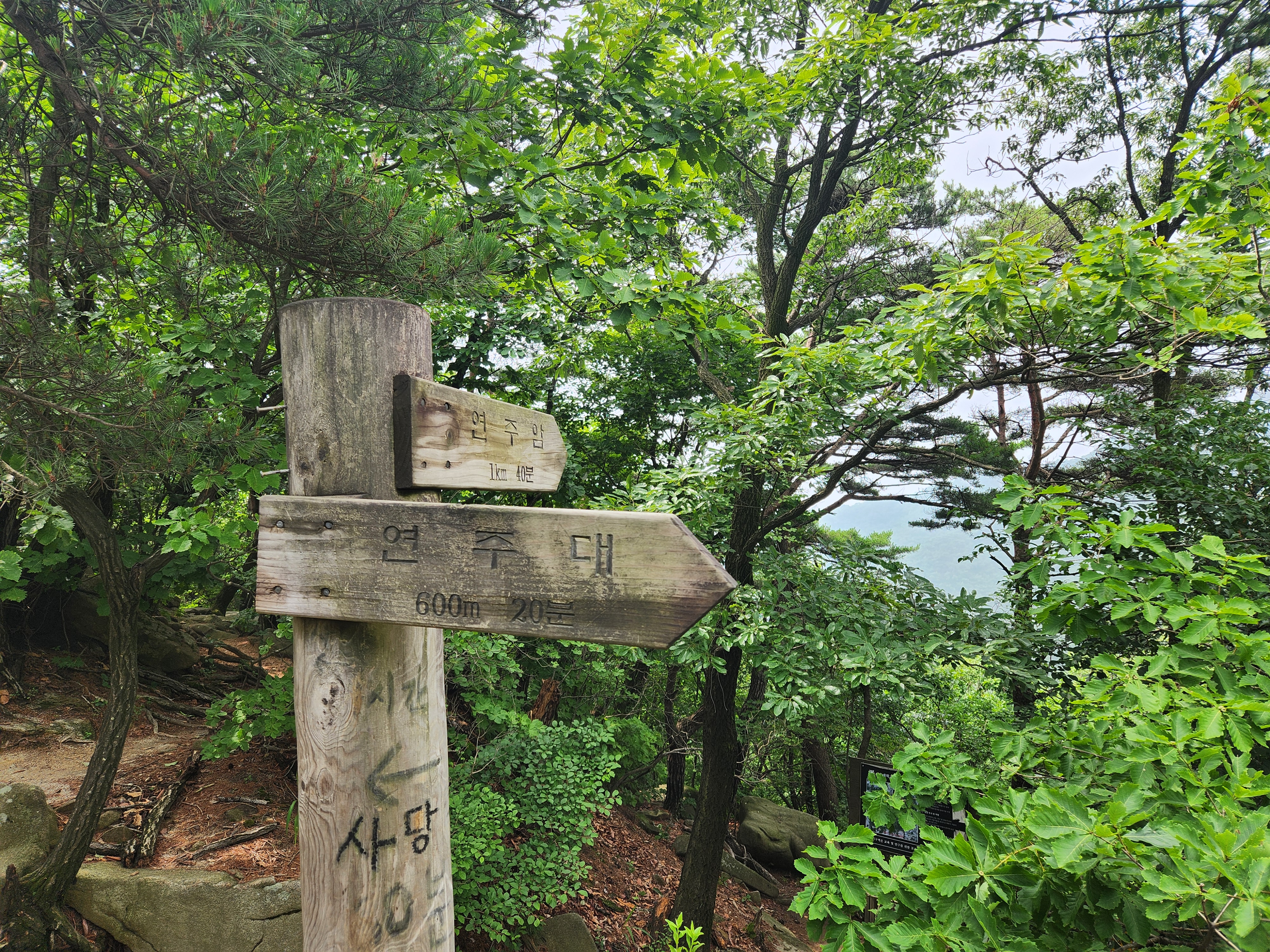 관악산 (62)