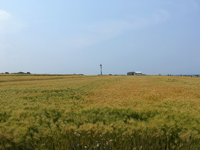 가파도-풍경-자전거-타고-즐기기18