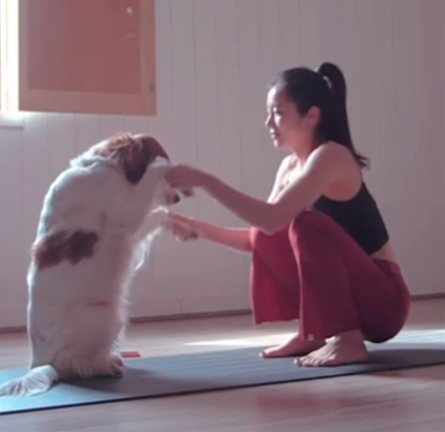 요가 이유주 사망 요가 무한도전 요가움 사망원인 이유주 인스타 사망이유 무한도전 요가
