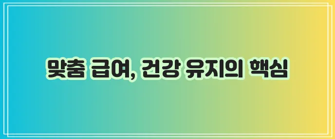 고양이 사료 급여량 결정 건강한 식습관이 중요하죠!