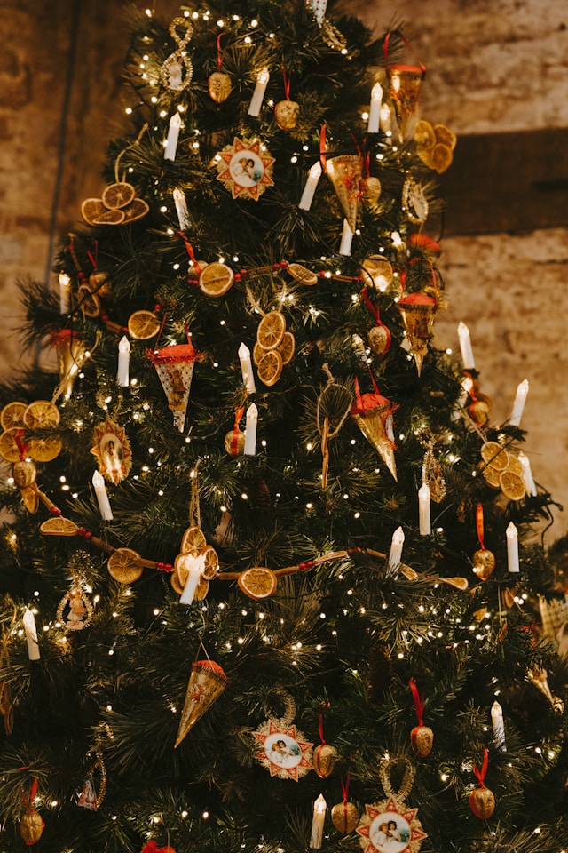 가족이 사랑할 믹서기&middot;블렌더 크리스마스 선물 완벽 가이드