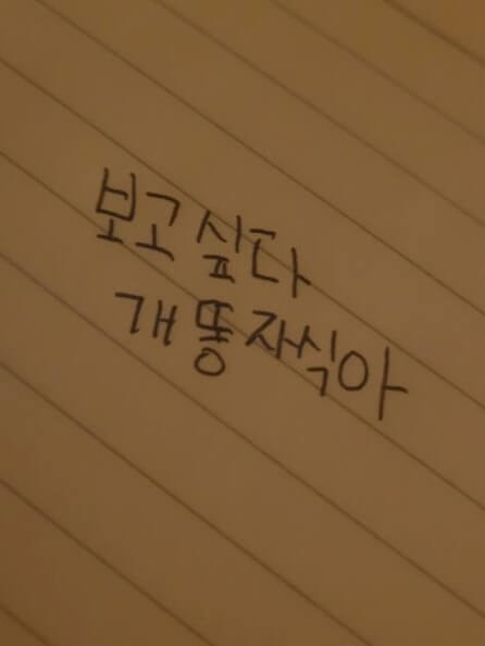 헤이진지-며칠됐다고-보고싶다-개똥-자식아