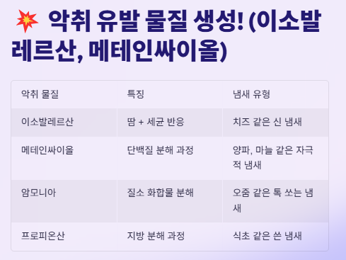 신발냄새 없애는 방법: 제거방법 BEST 7