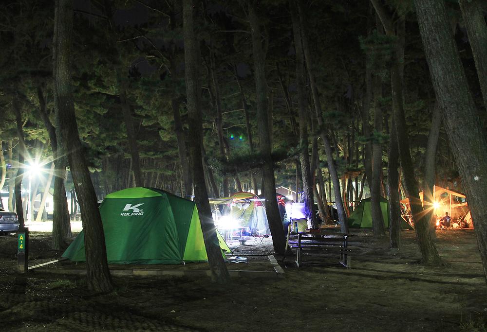 충청남도 태안군 몽산포 자동차야영장